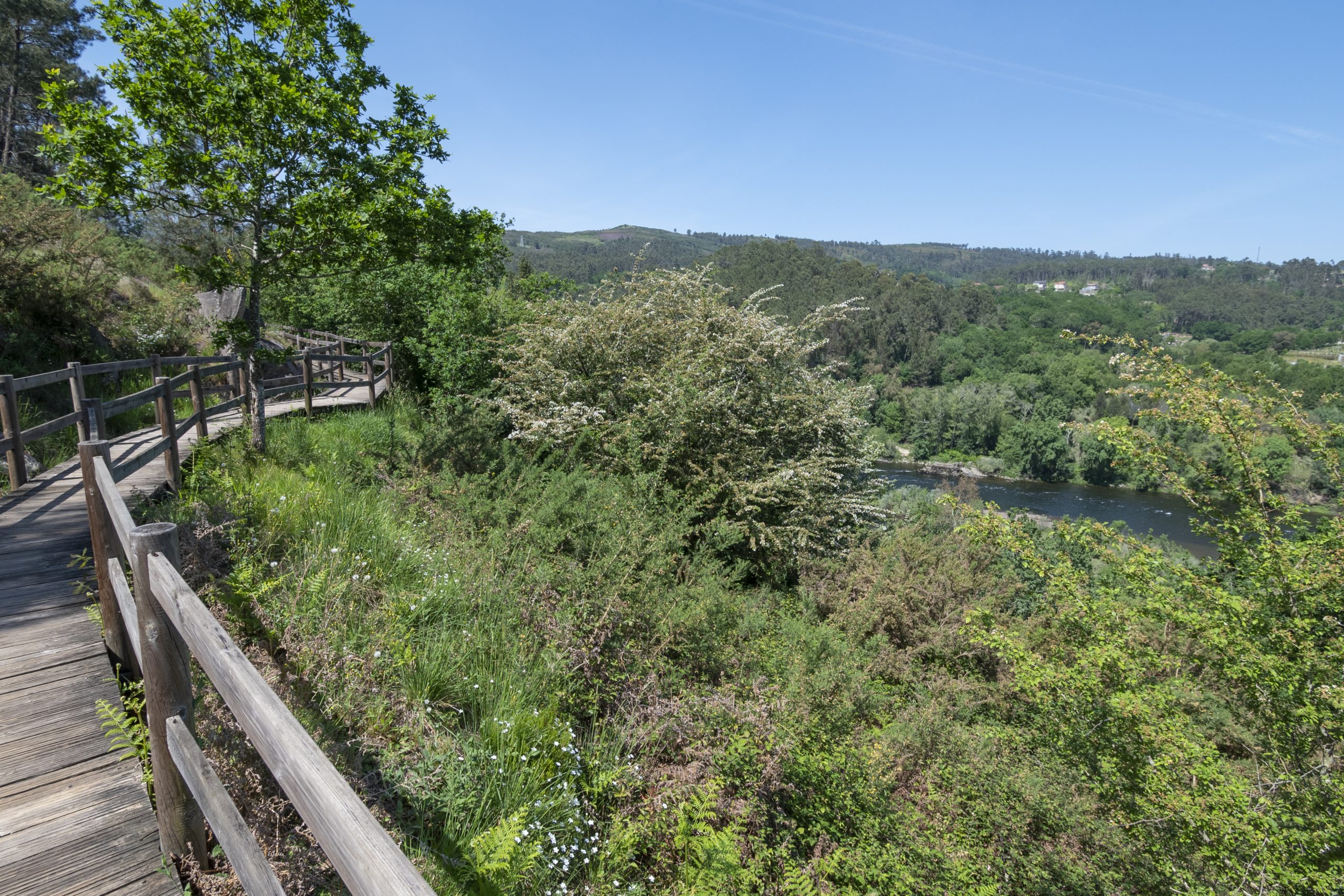 ruta marginal del río miño