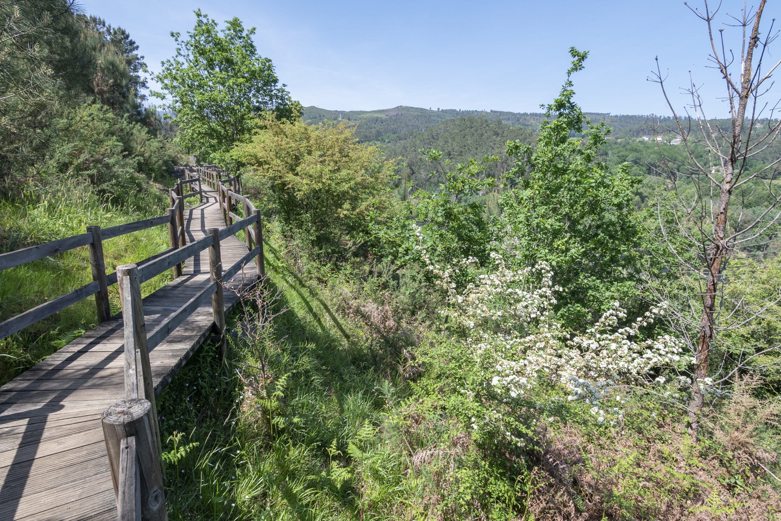 ruta marginal del río miño