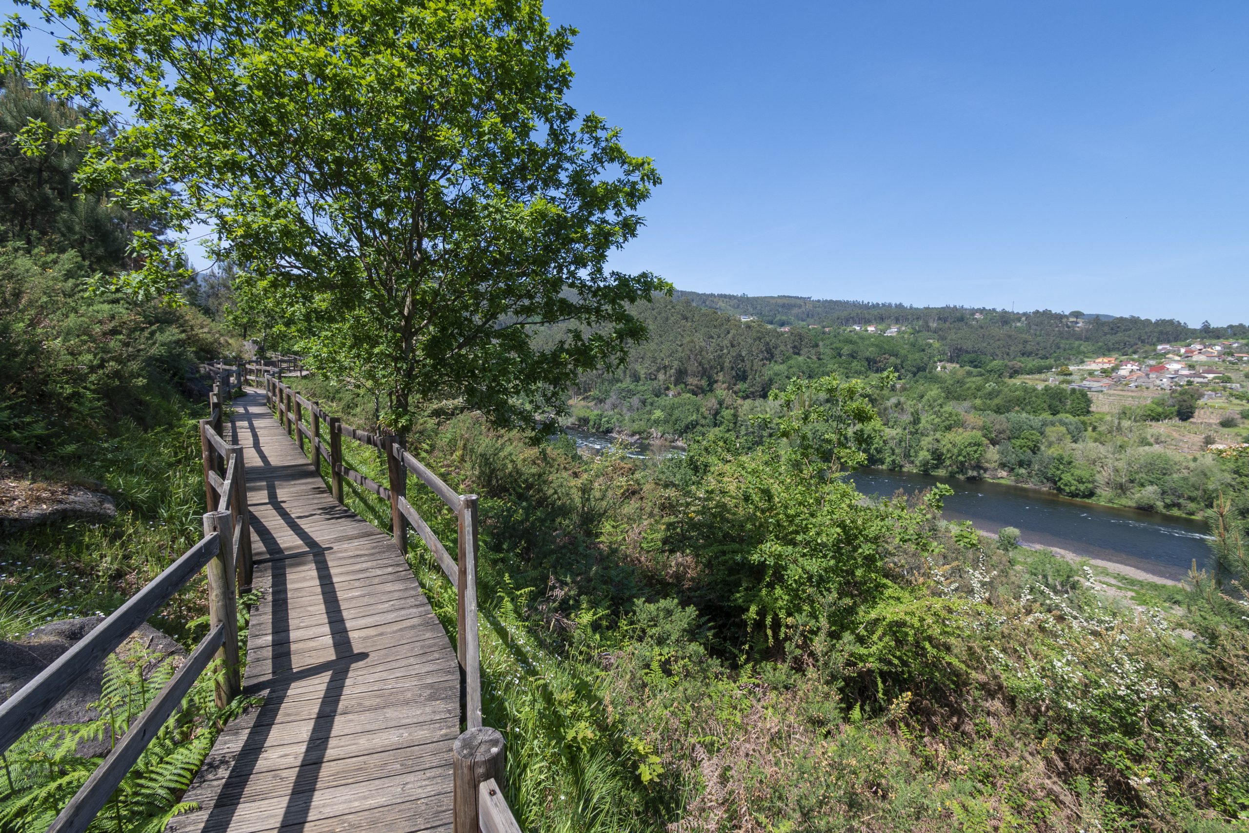 ruta marginal del río miño