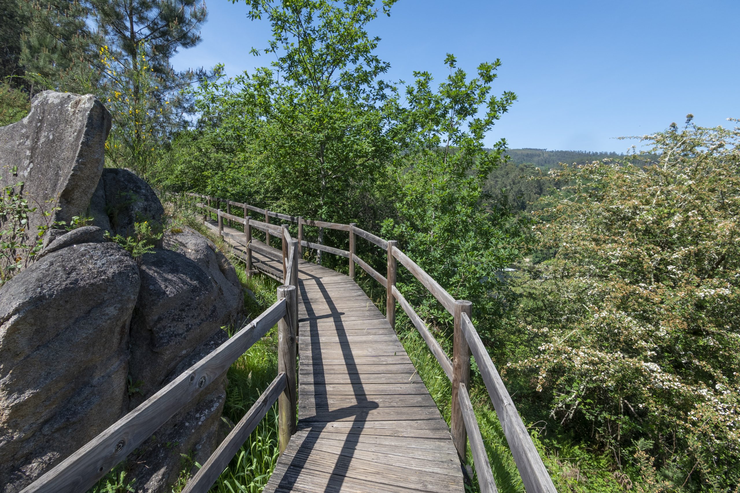 ruta marginal del río miño