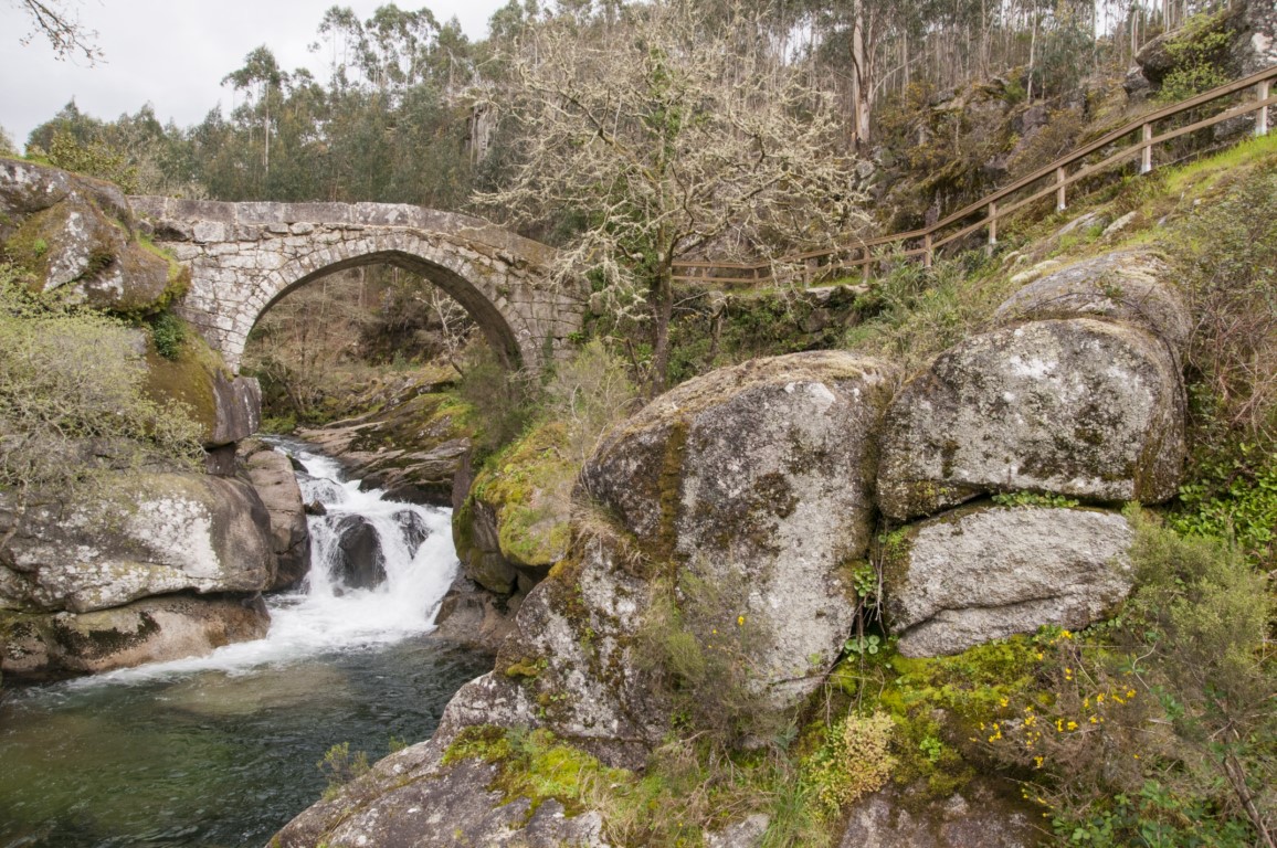 puente de almofrei