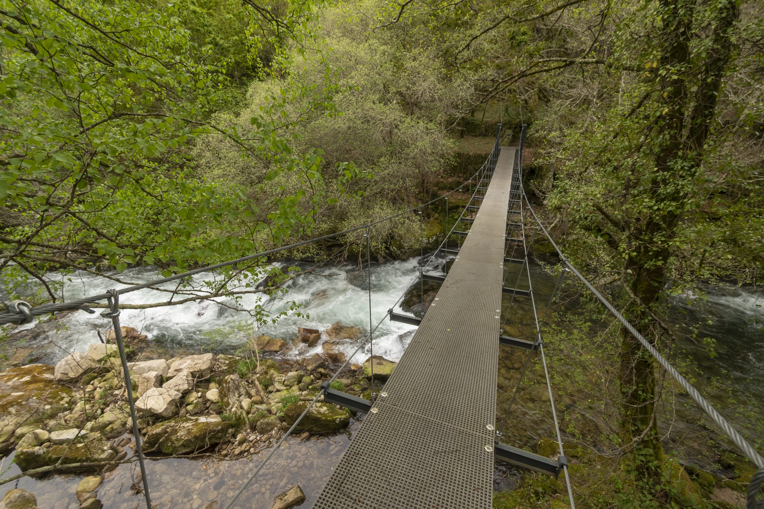 ponte suspensa rio mouro
