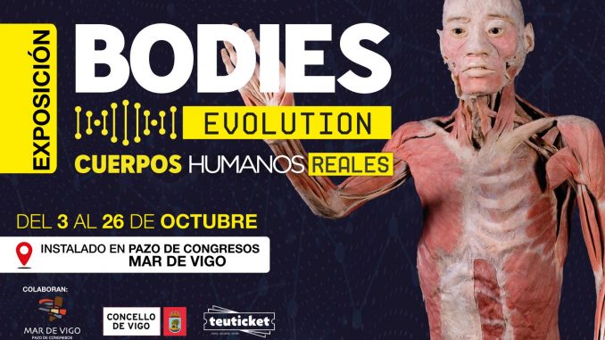 bodies evolution