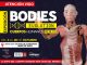 bodies evolution